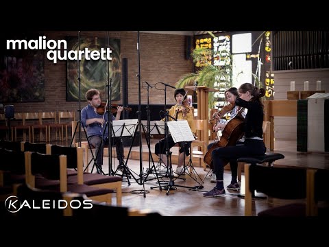 Debut Album | Malion Quartet: Beethoven - Widmann - Brahms | Official Trailer